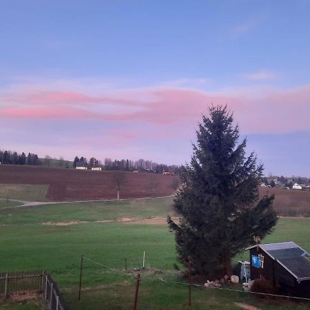 Ferienwohnung Wiesenblick In Seiffen Bagian luar foto