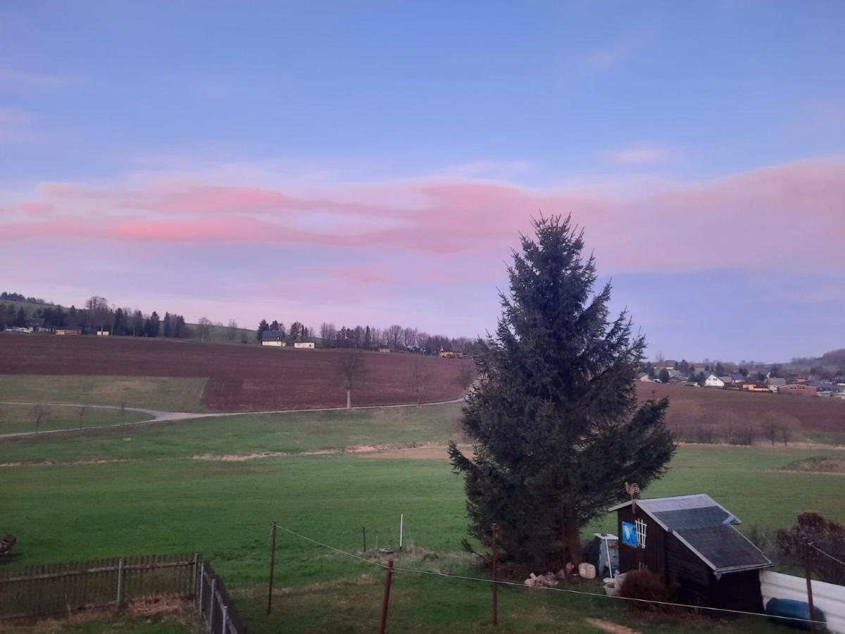 Ferienwohnung Wiesenblick In Seiffen Bagian luar foto