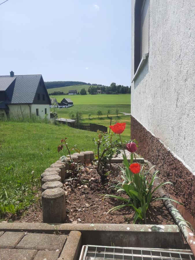 Ferienwohnung Wiesenblick In Seiffen Bagian luar foto