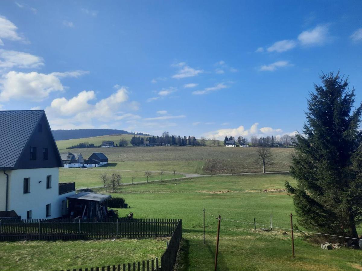 Ferienwohnung Wiesenblick In Seiffen Bagian luar foto