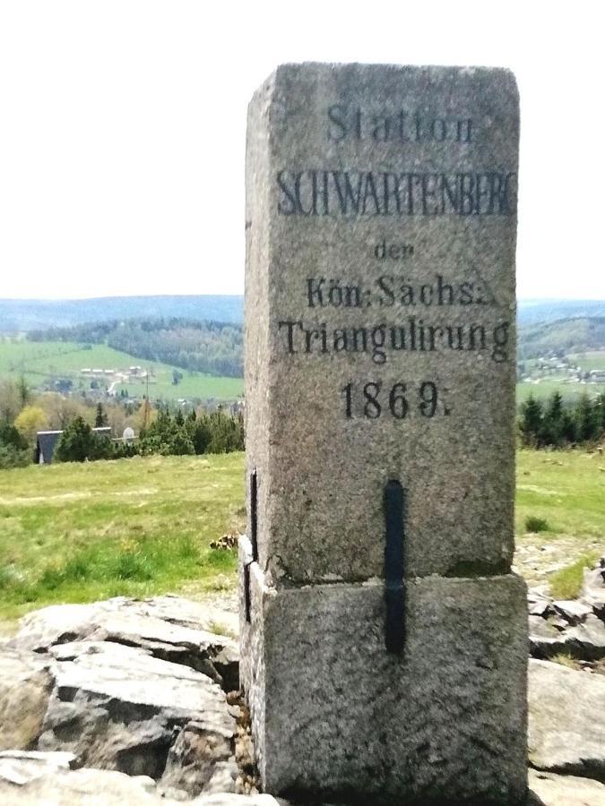 Ferienwohnung Wiesenblick In Seiffen Bagian luar foto